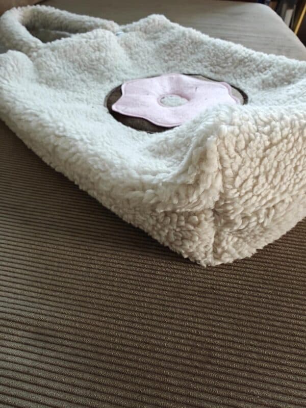 IMG_20251104_121602 IMG_20251104_121602